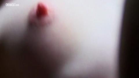 15236