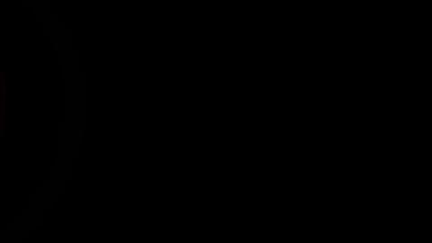 16626